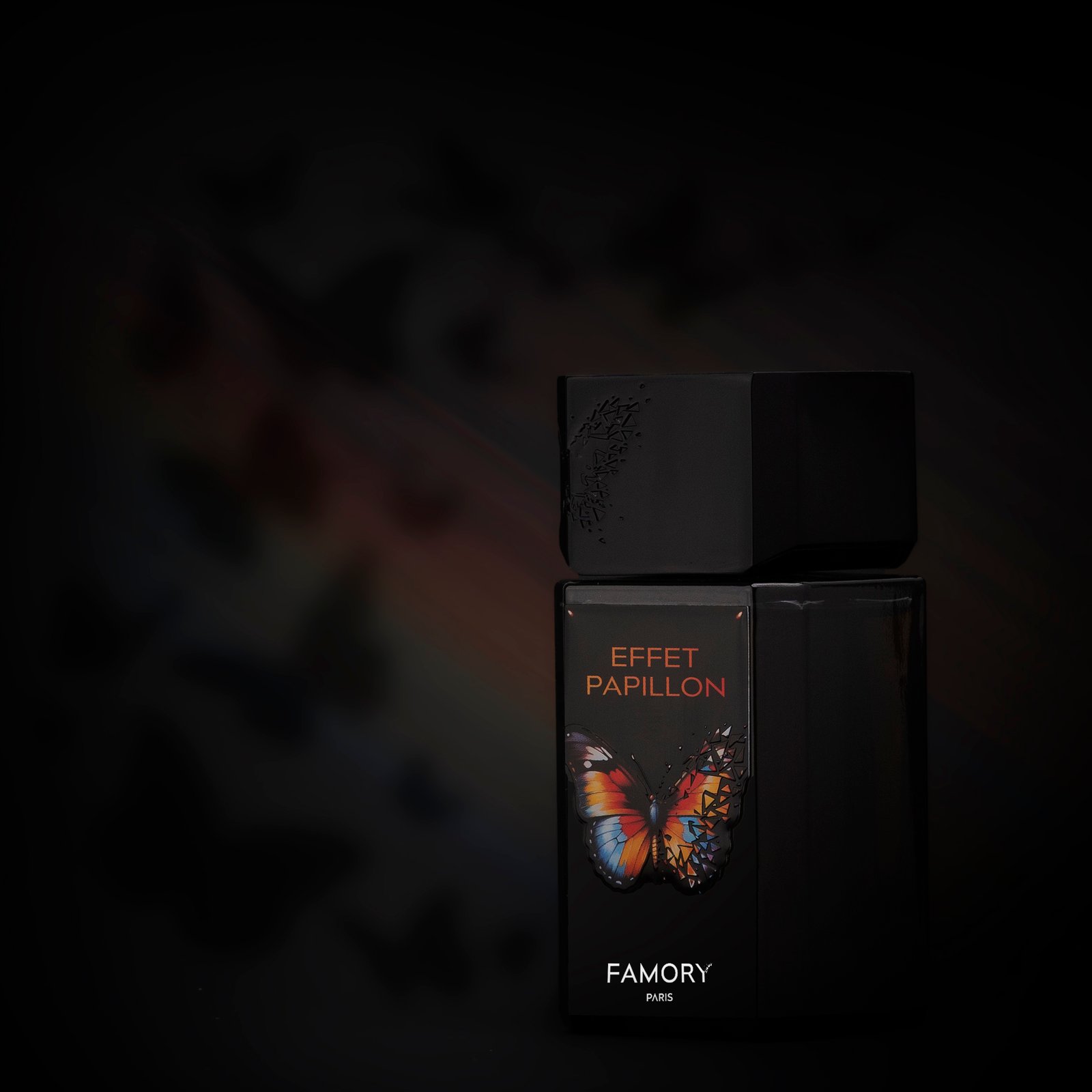 EFFET PAPILLON – Image 2